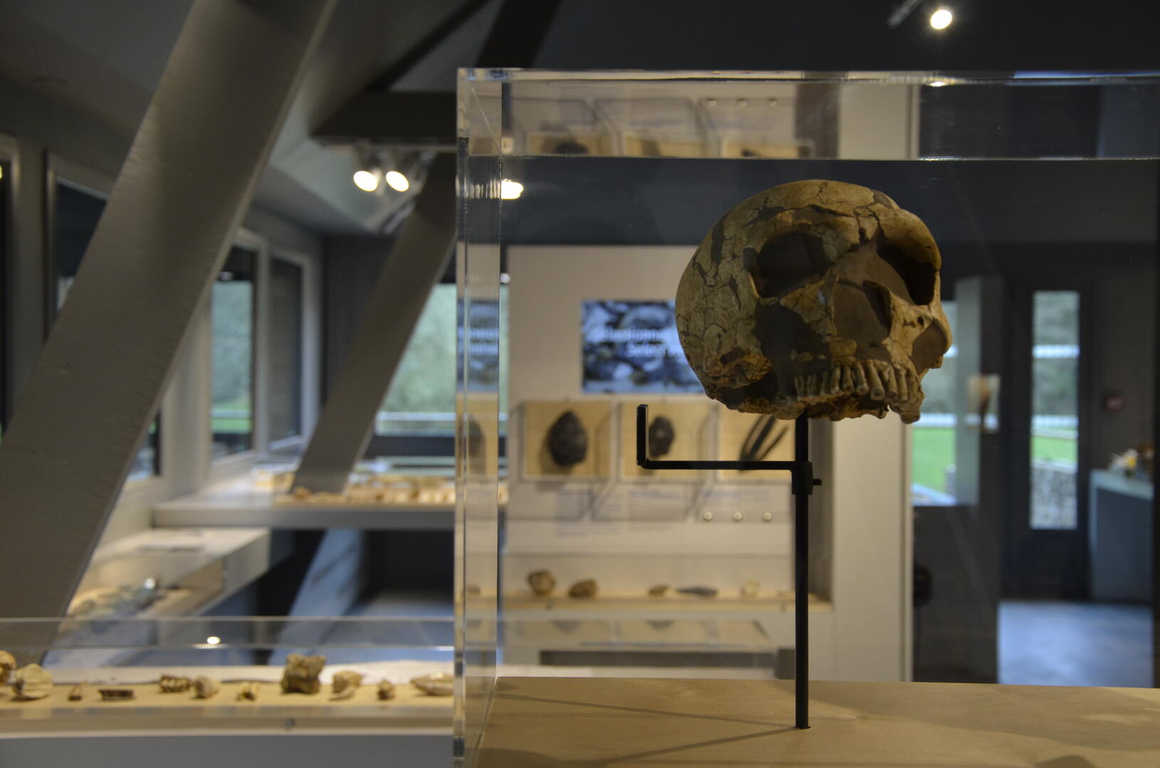 Musée de Préhistoire - 5 objets