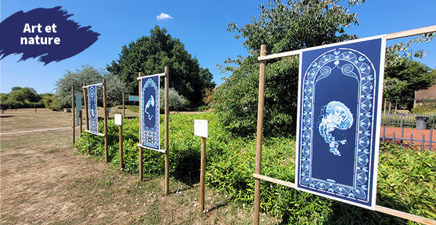 2025_atelier-cyanotype
