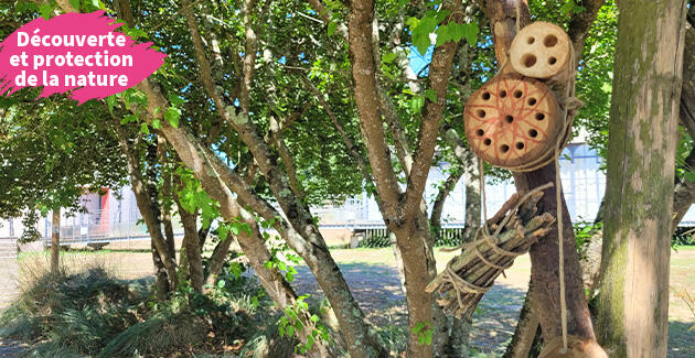 2025_hotel-a-insectes