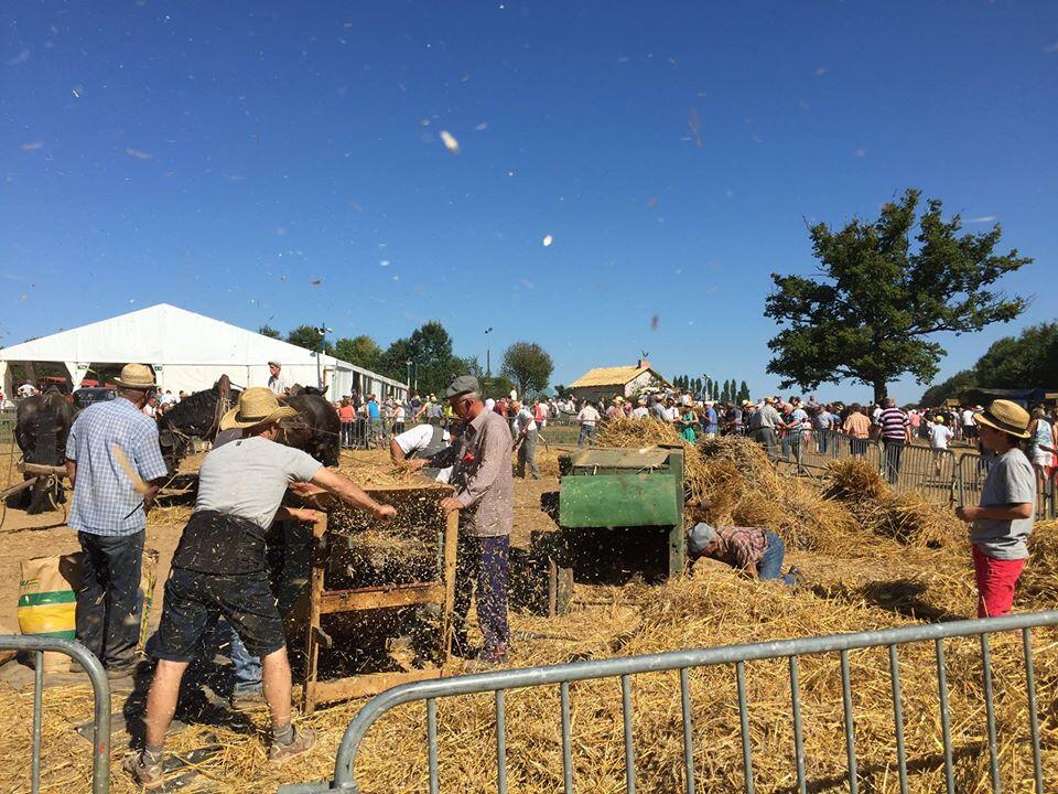2020 fete de la moisson