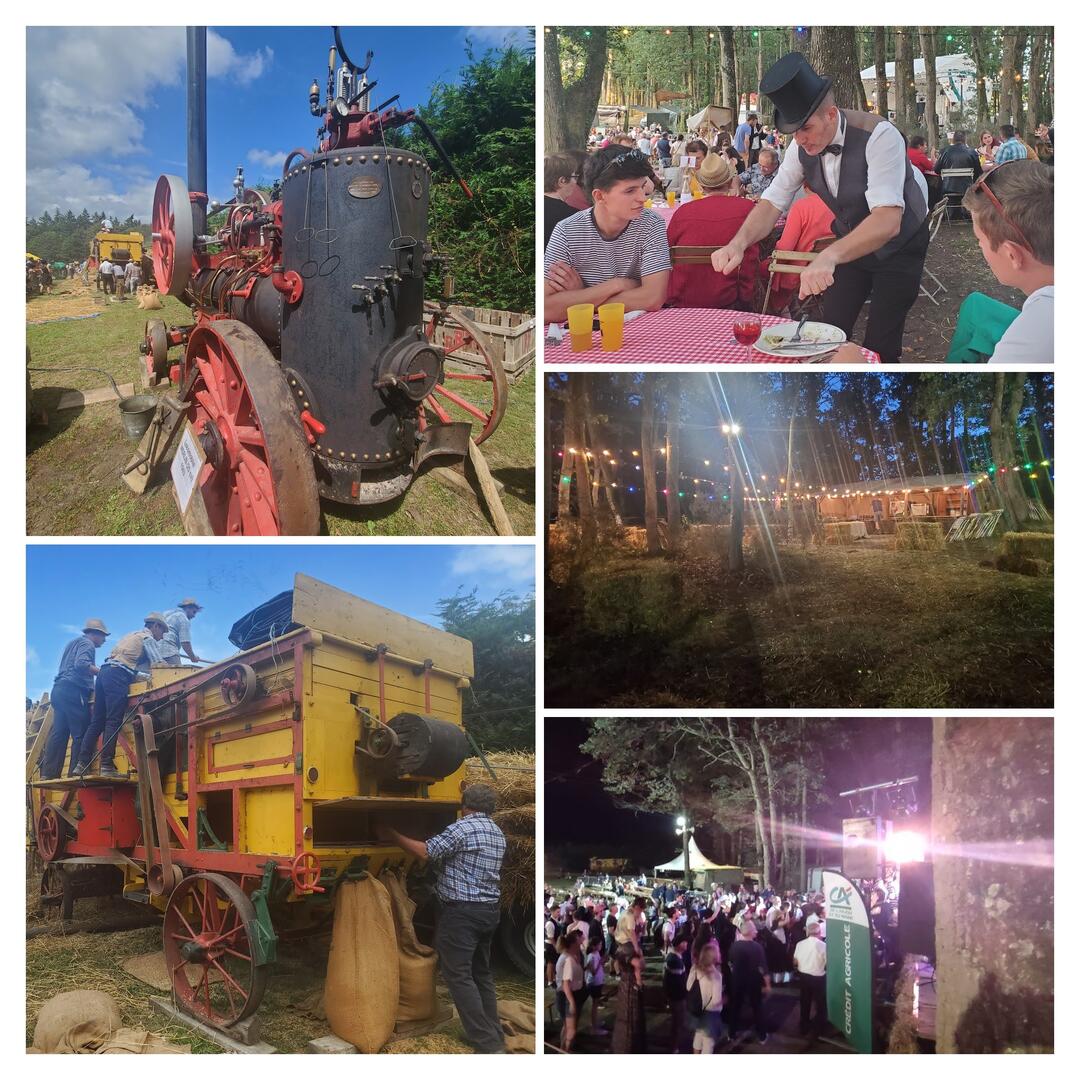 20230812_215319-COLLAGE