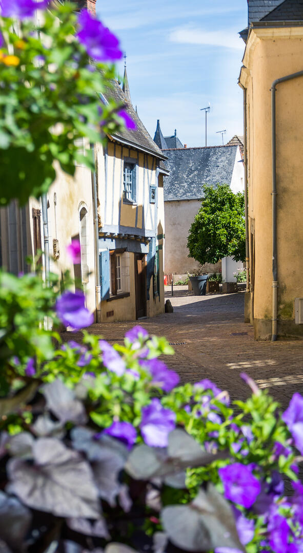 Vallée de la Sarthe - sablé- visite guidée