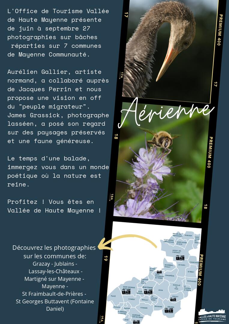 Aérienne