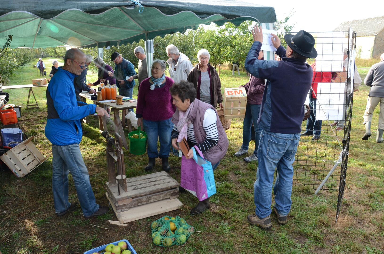 Asnières sur pommes 2016 (17)