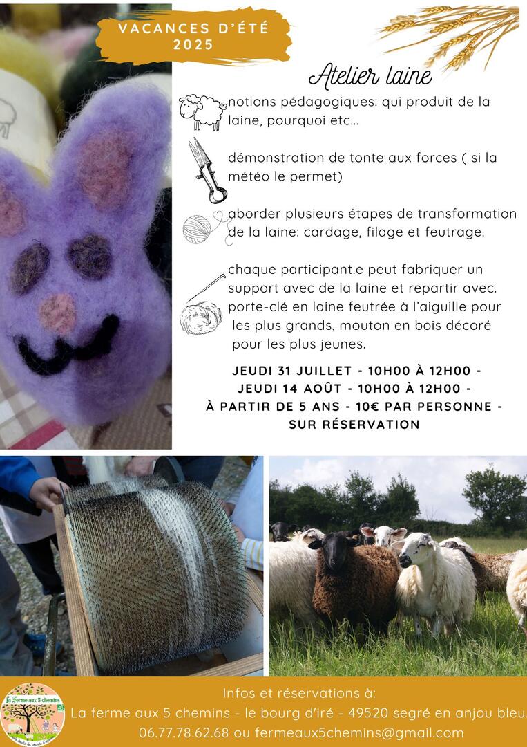 Atelier laine_Ferme aux 5 chemins_SEAB_FMA 49