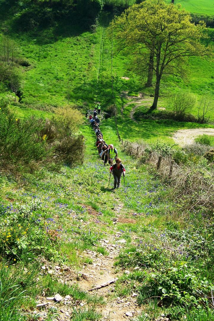 Par les chemins de Chevaigné-du-Maine