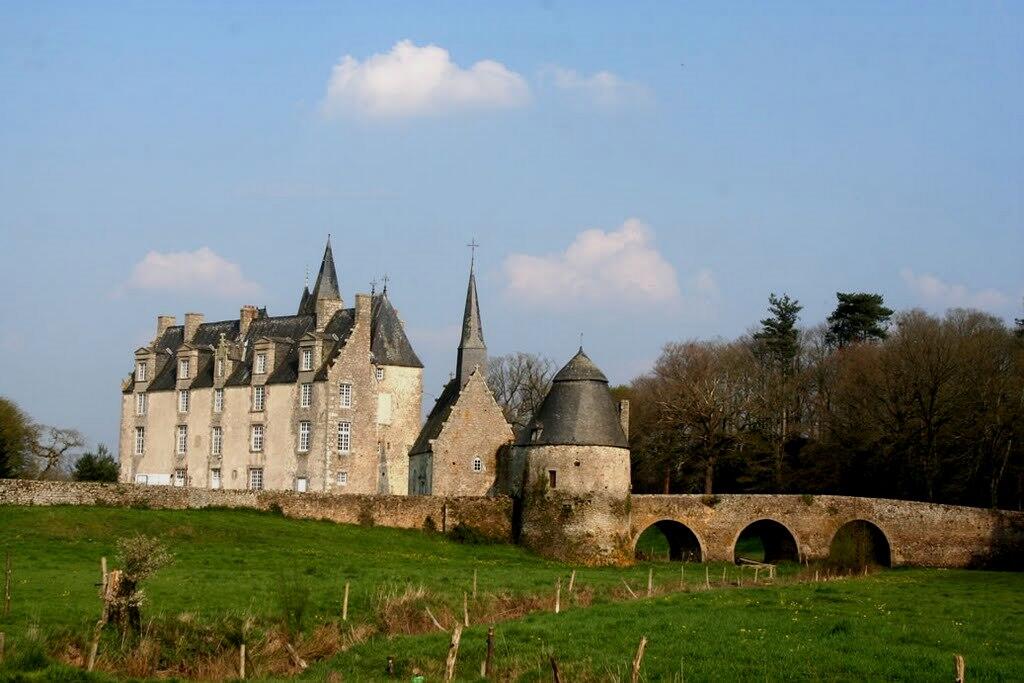 Château de Bourgon_2