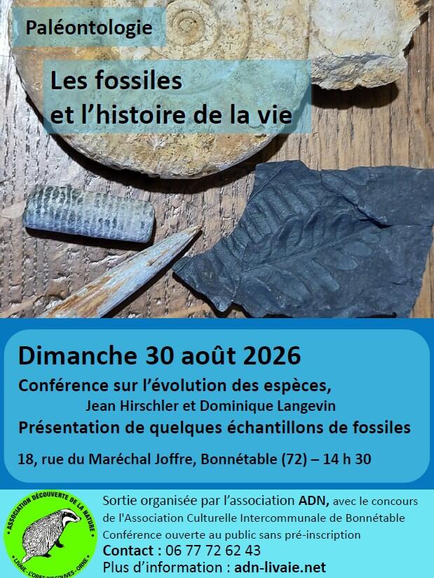 Conférence paélontologie