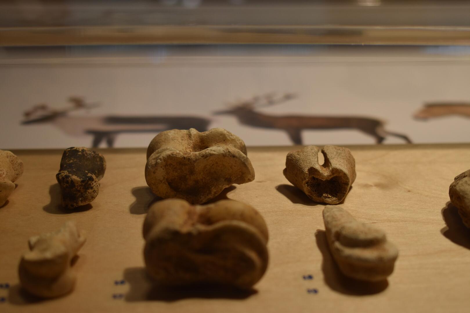 Visite "La Préhistoire en 5 objets" - Musée de Préhistoire Grottes de Saulges