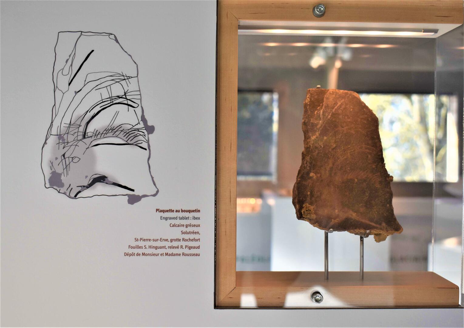 Musée de Préhistoire - Saulges - Arts