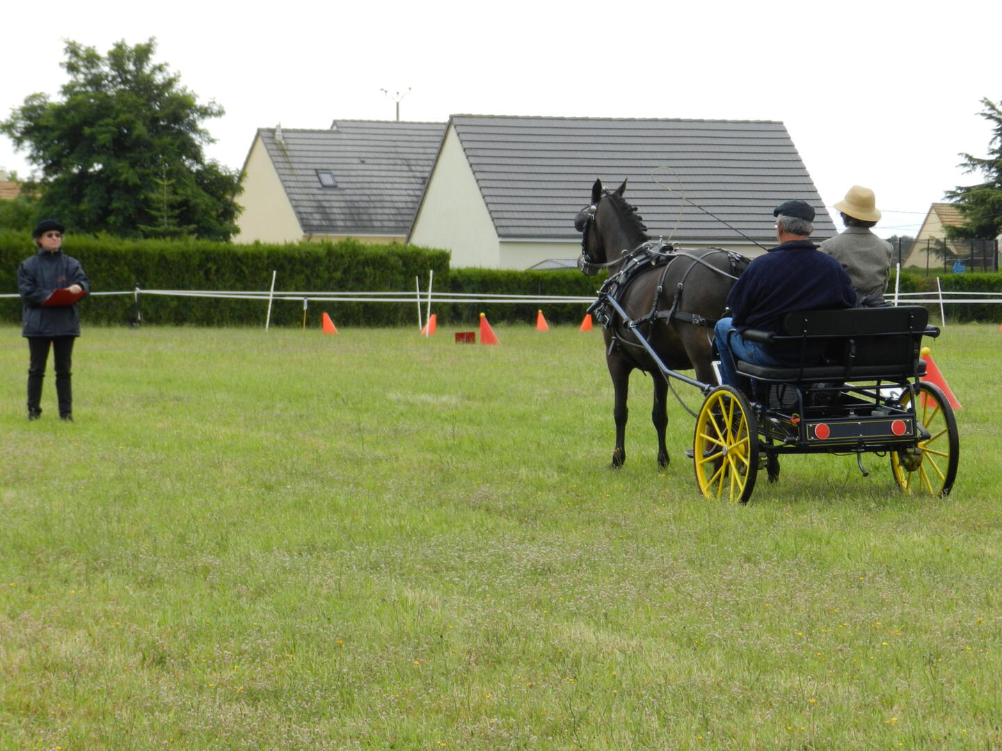 concours attelage Beaufay