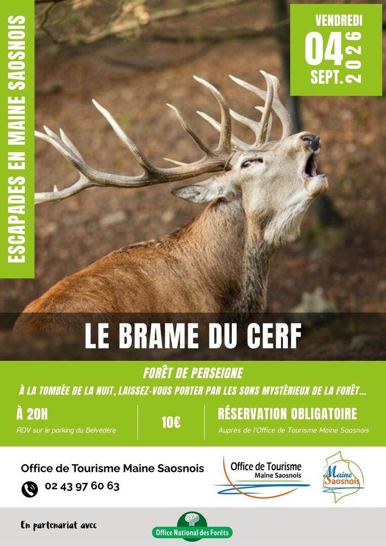 EMS2026_Affiches - Brame 01