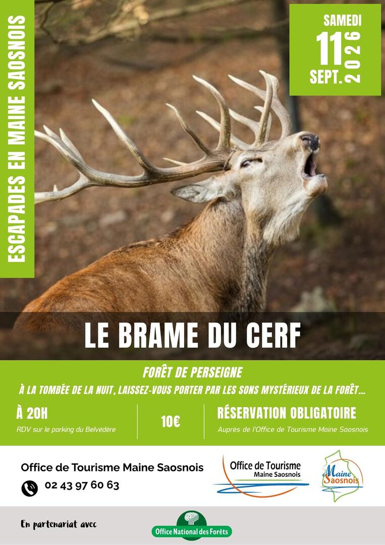 EMS2026_Affiches - Brame 02