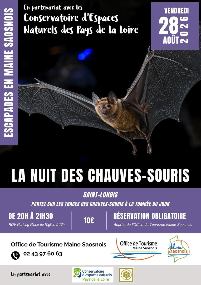 EMS2026_Affiches - Chauve-souris