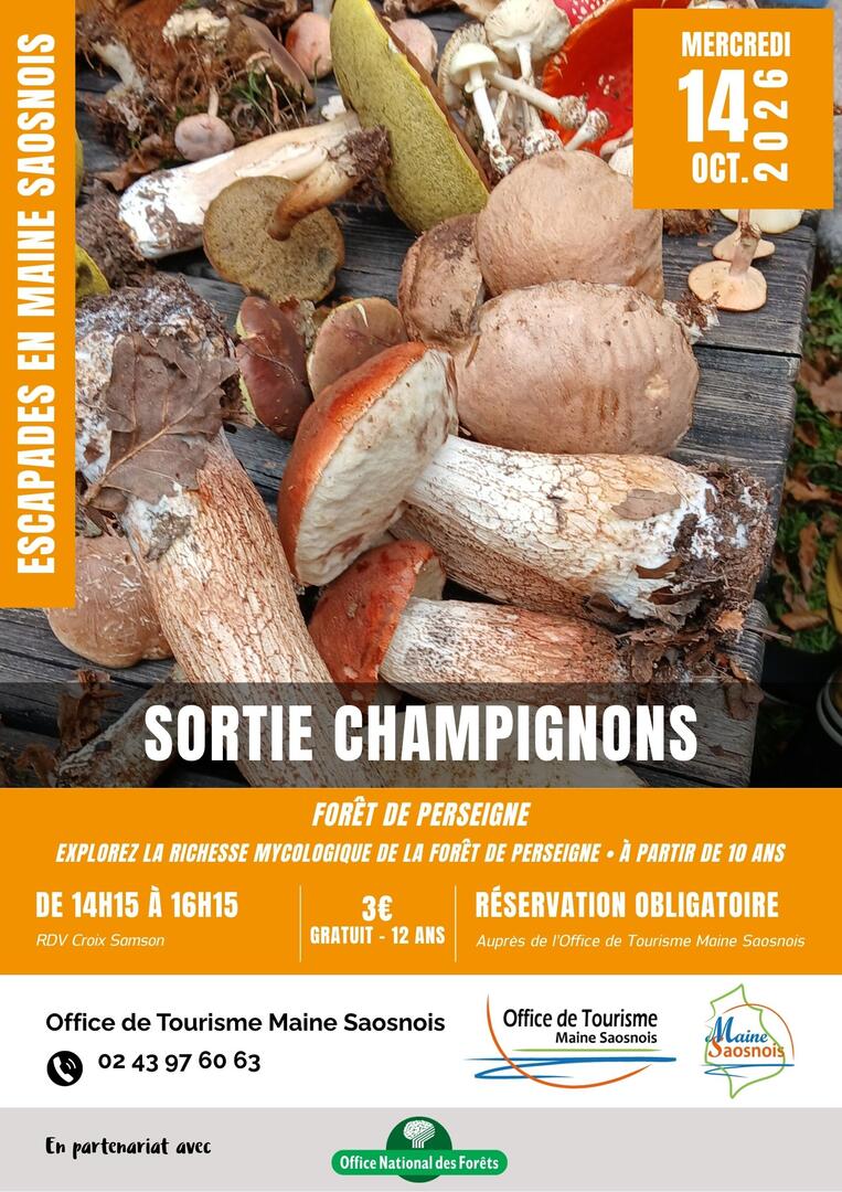 EMS2026_Affiches - Sortie champignons