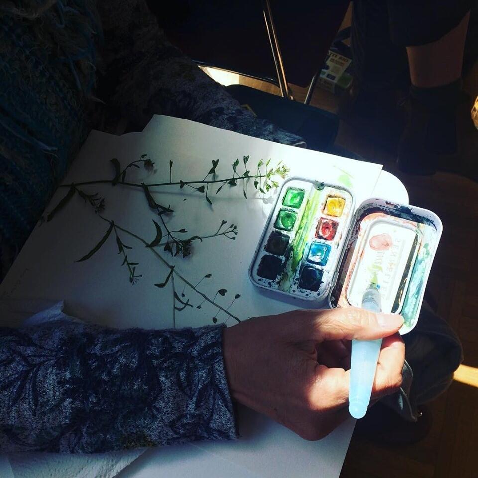 Ecocentre de Danne - Atelier d'initiation au dessin botanique