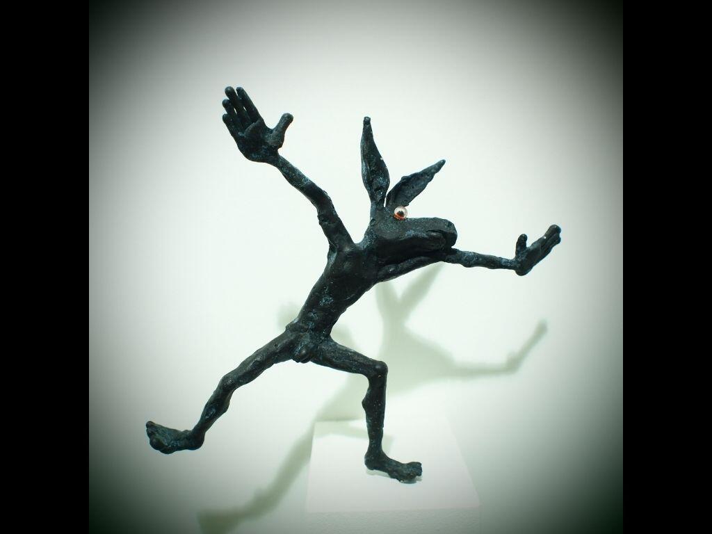 FMA-expo-enigme-du-lynx-02