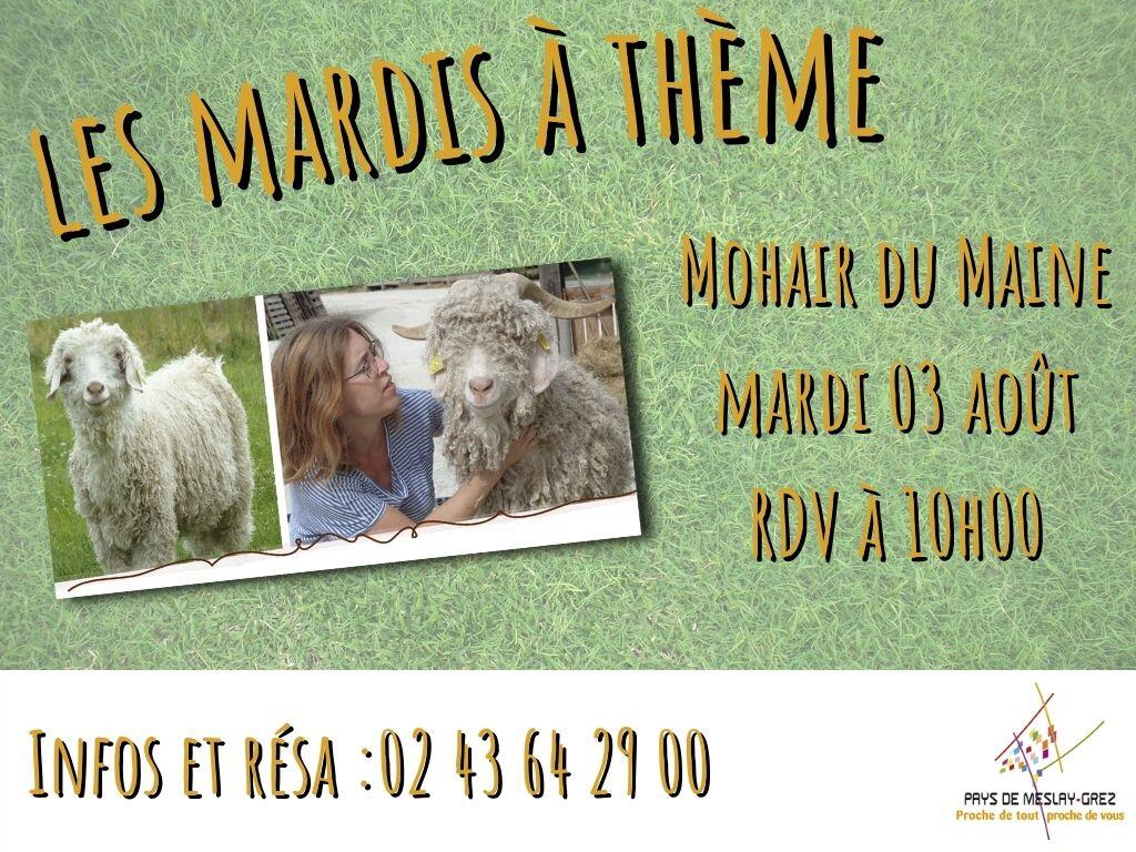 FMA-mardi-theme-mohair