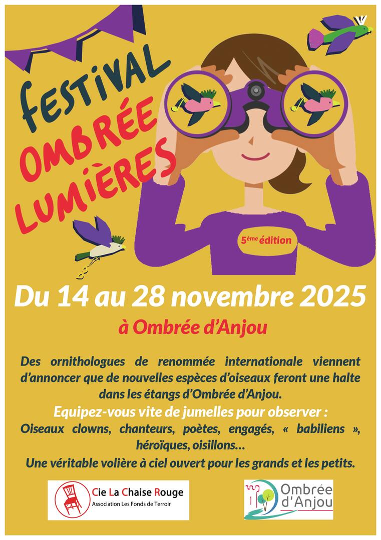 Festival_Ombrée_Lumières-49-FMA-photo1