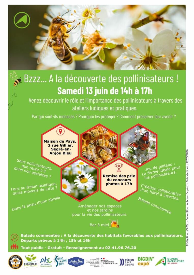 Affiche polinisateurs - Segré - FMA - 49