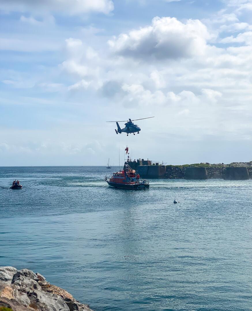Helitreuillage - Photo Camille Taraud