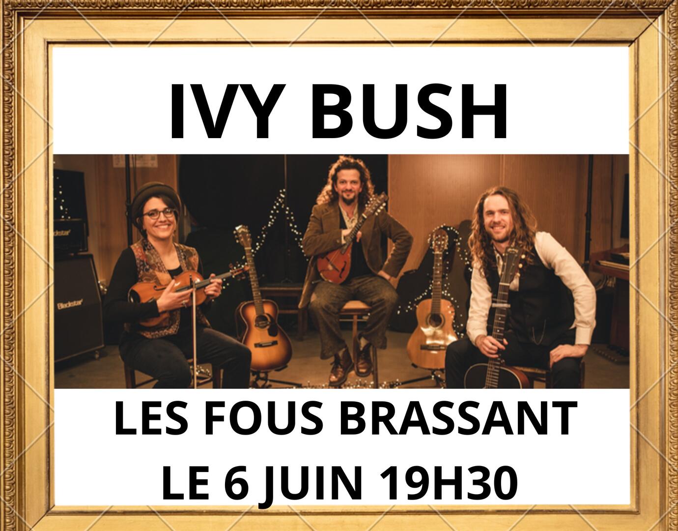 IVY BUSH