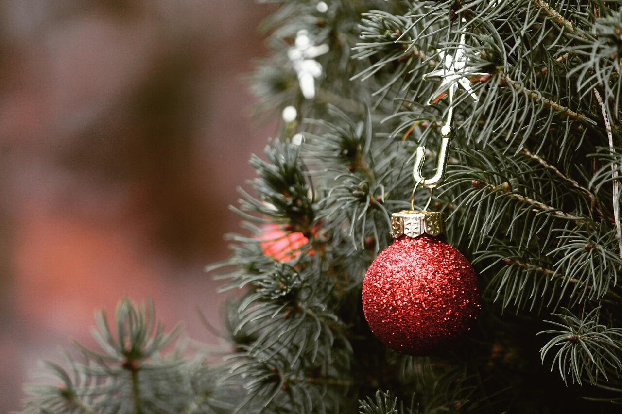 Noel-Gen© Kati de Pixabay