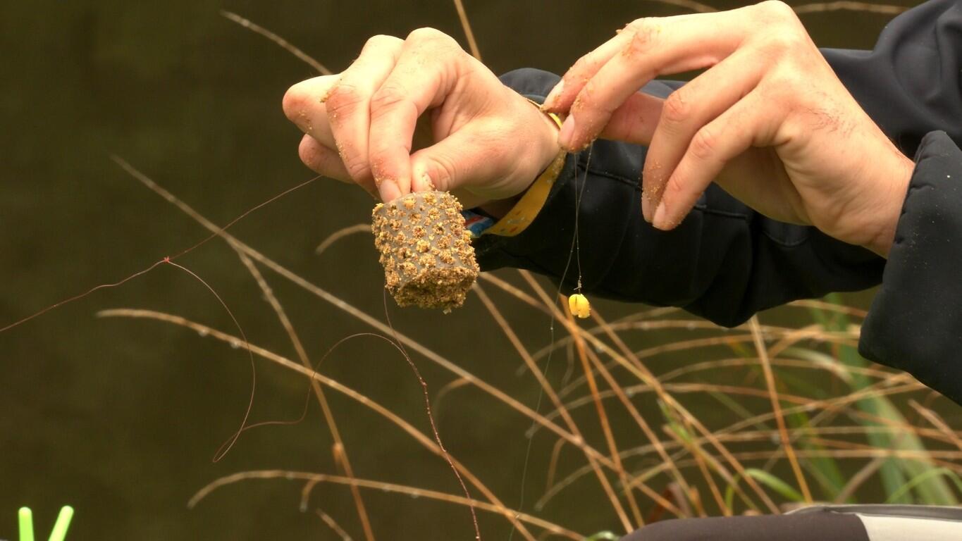 Pêche au feeder
