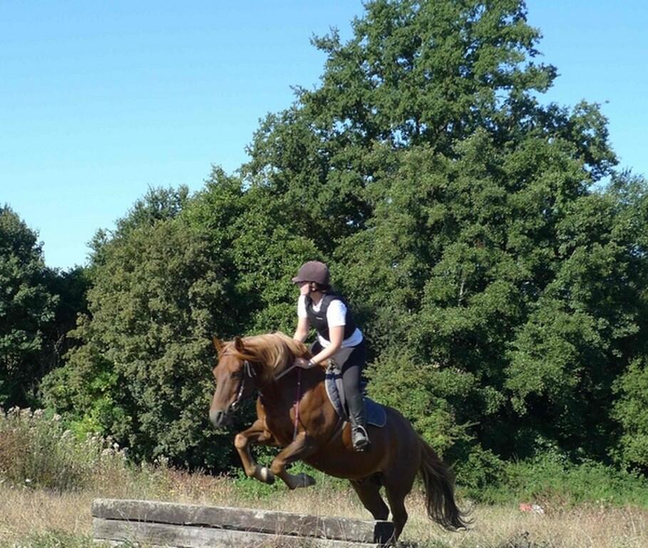 Séance de Cross
