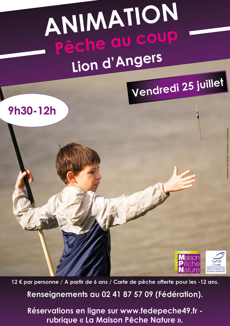 affiche coup Lion d'Angers été 2025