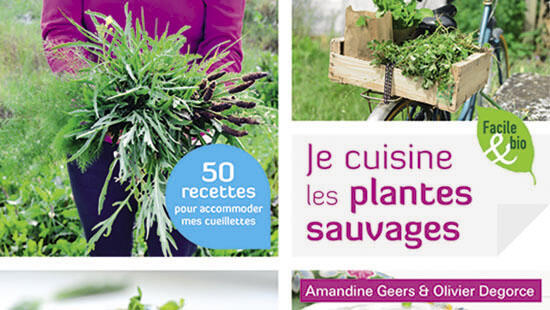 amandine geers je cuisine les plantes sauvages