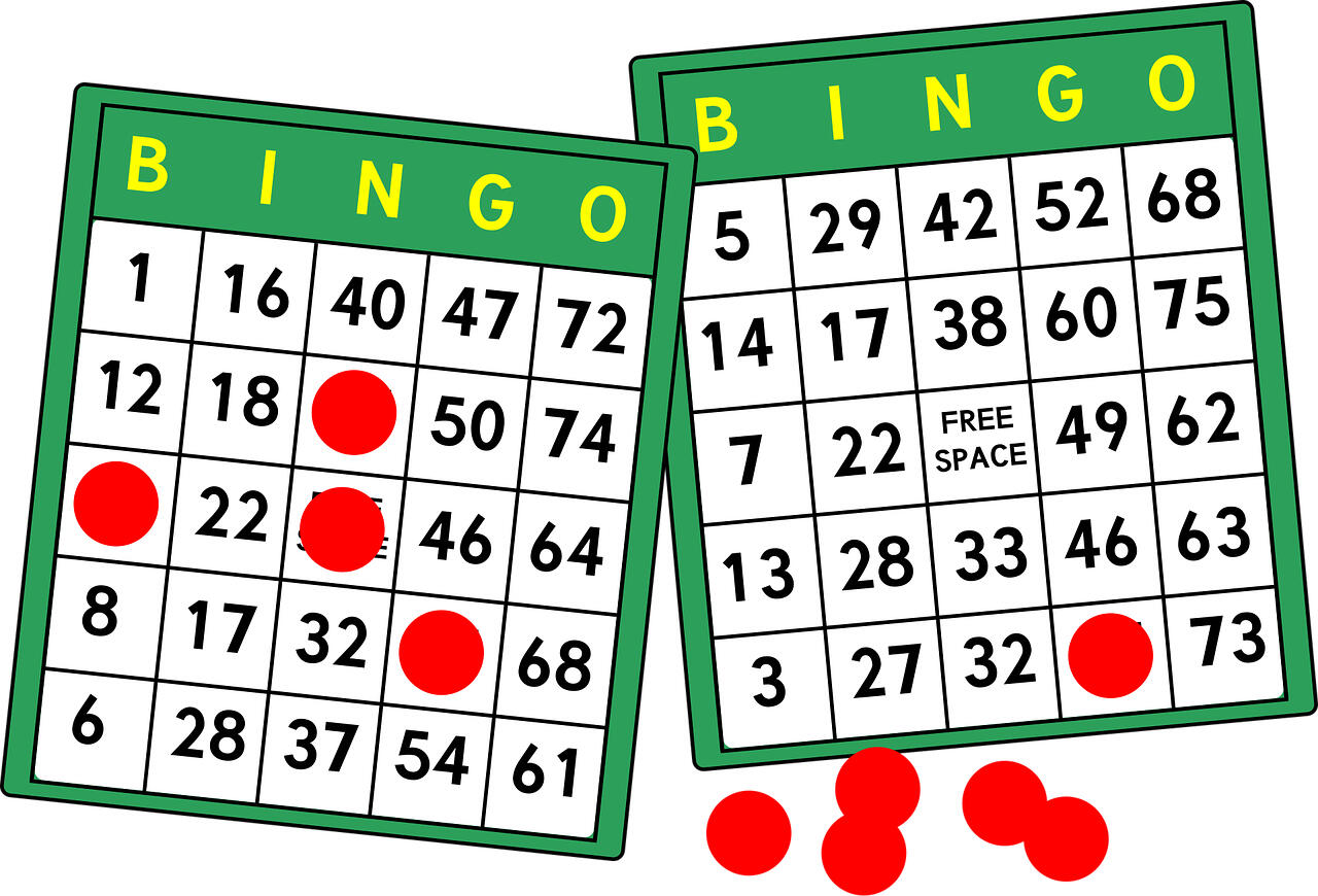bingo-