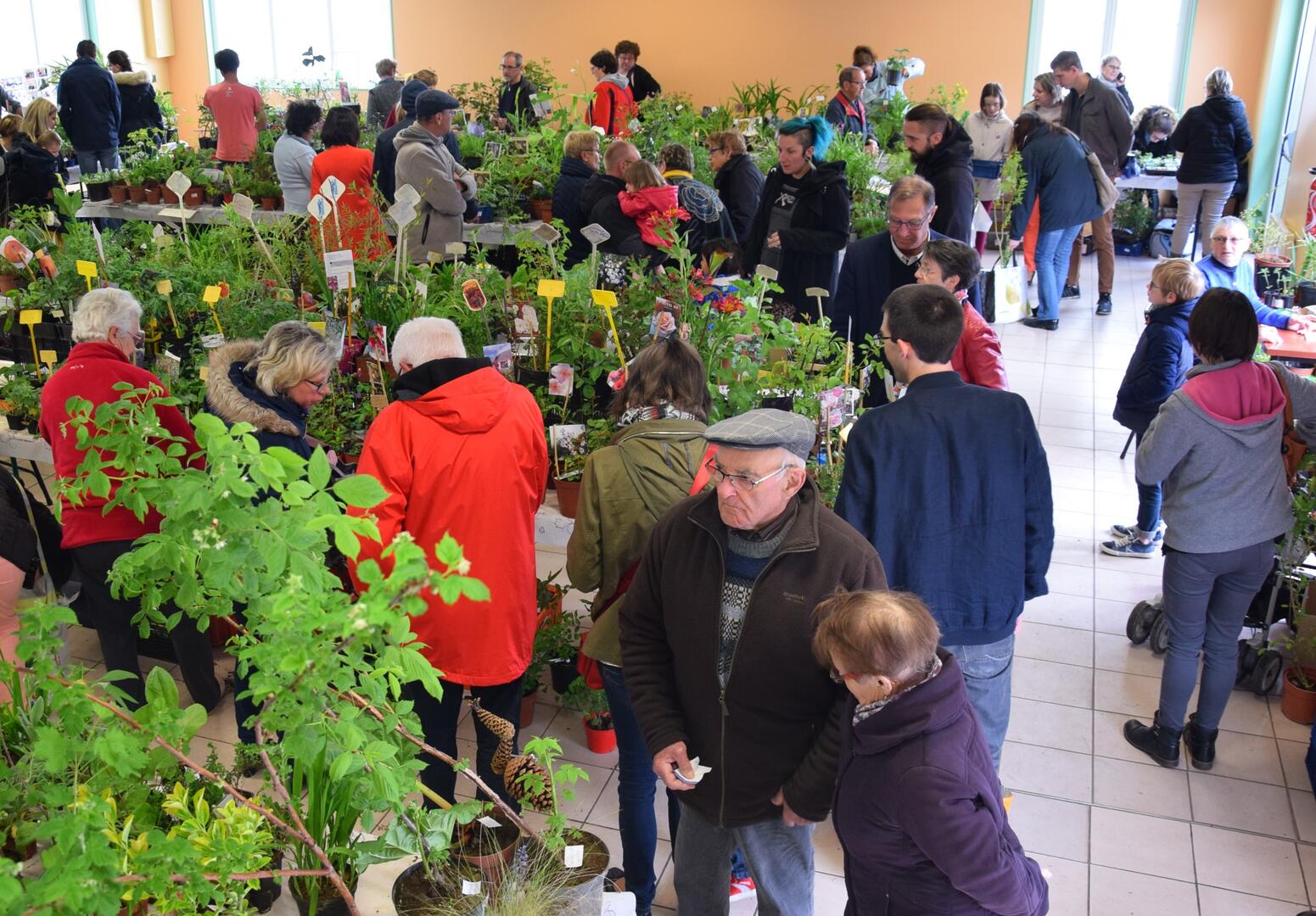 bourse fleurs 04-2019 (30)