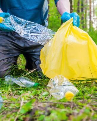 Garbage collection in nature. A young man collects plastic trash in a summer forest. Close-up?
