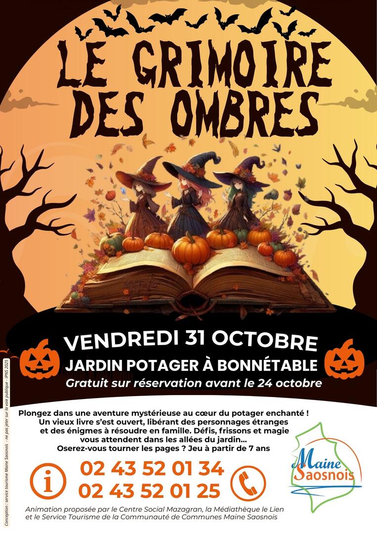 Affiche le grimoire des ombres - 2