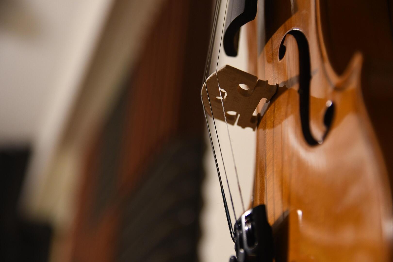 magstd-violin-5818267_1920