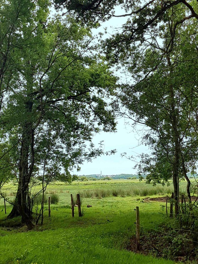 marais-saint-mars-de-coutais-44-iti-1