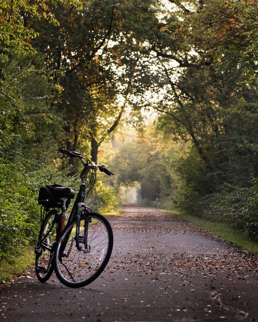 pamjpat-bike-2769021_1920