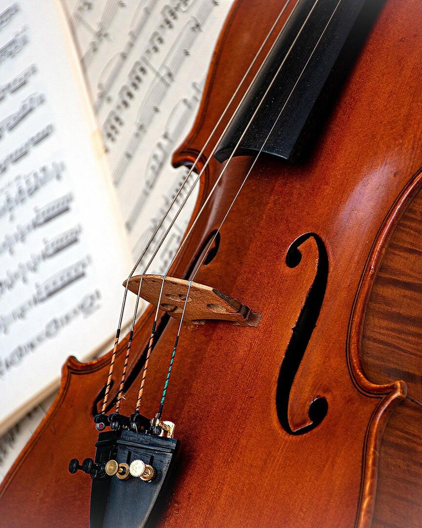 ri_ya-violin-7775182_1920