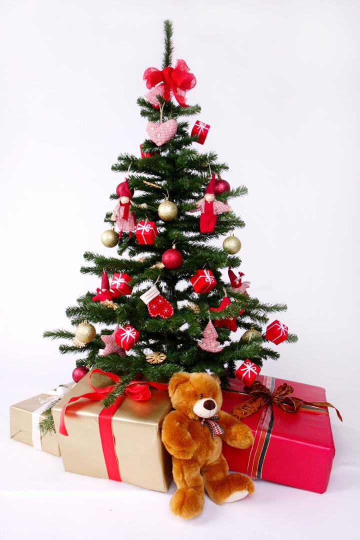 sapin noel photo
