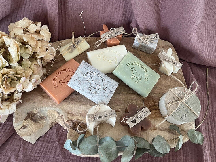 savon-lait-anesse