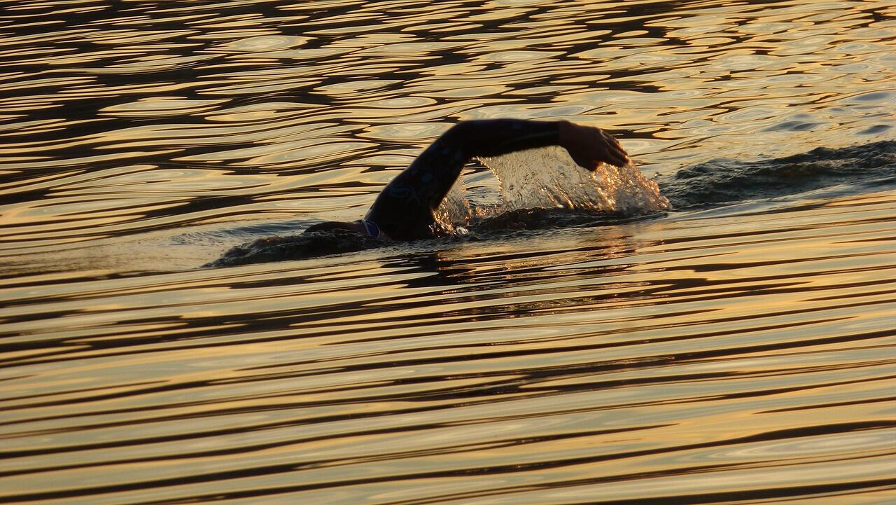 swimmer-3951545_1280