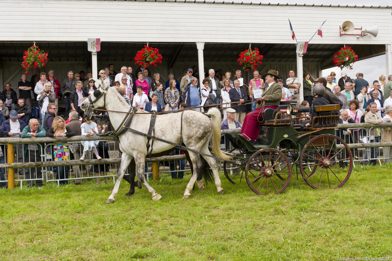 © Laurent SAINTIER-BAC-9694