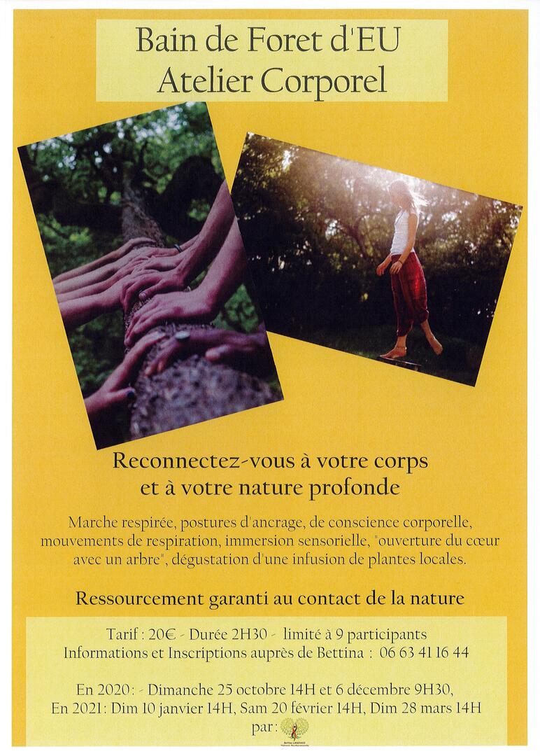 032821 - EU - Bain de forêt