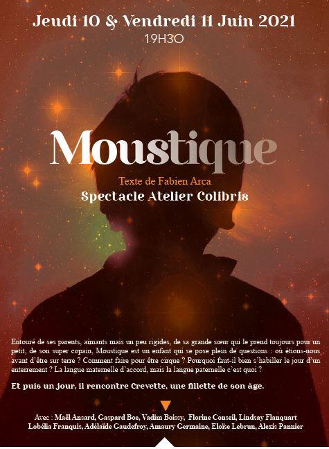 061121 - EU - Moustiques