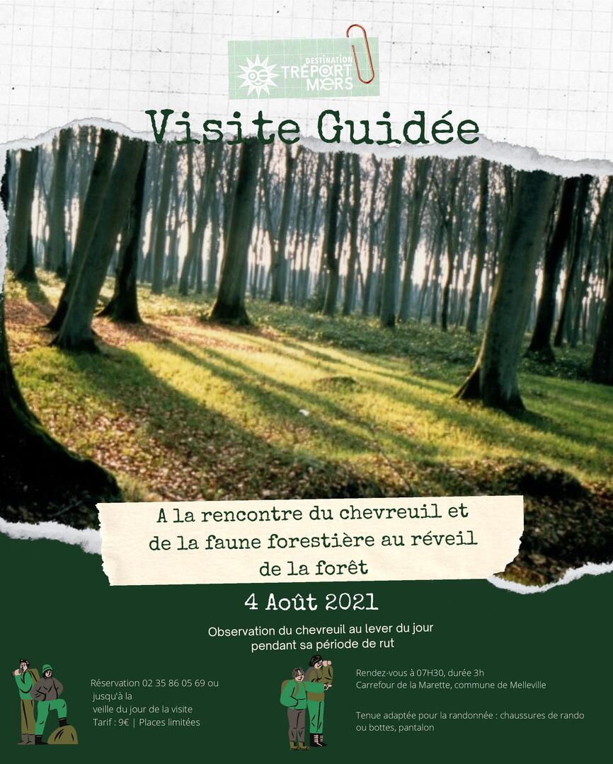 08042021 - A la rencontre du chevreuil et de la faune forestière-page-001