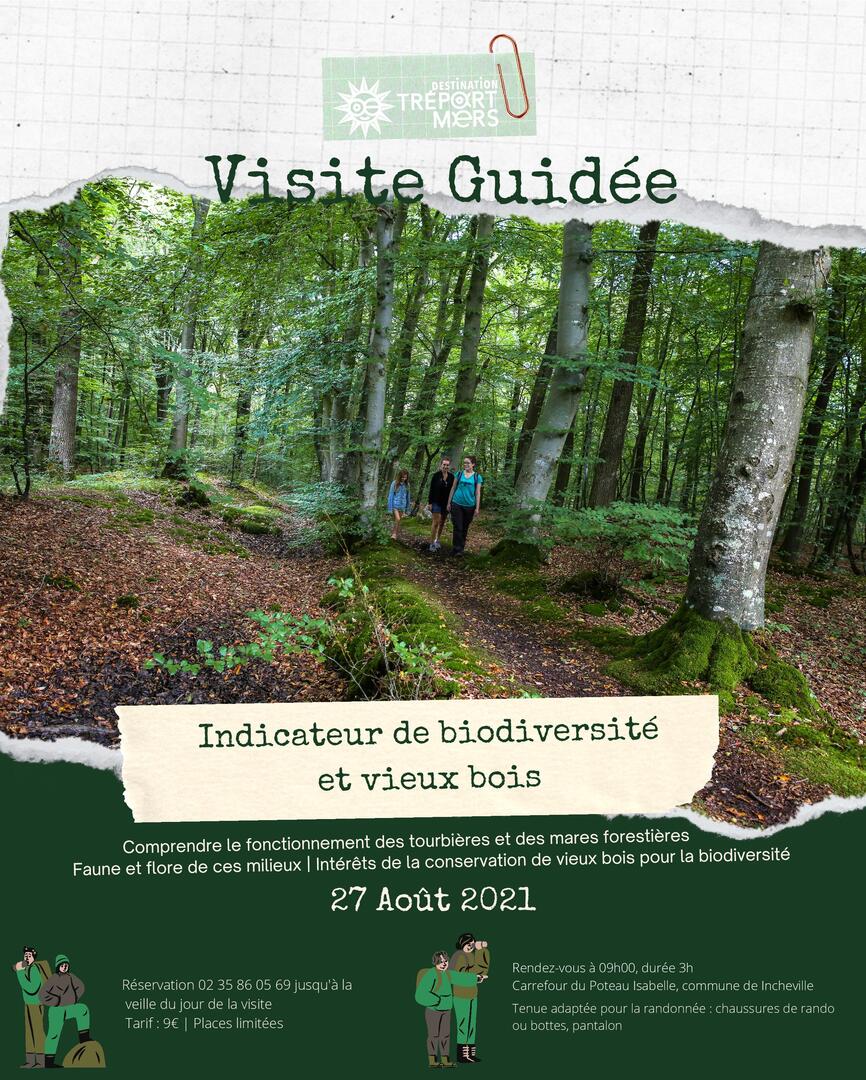 08272021 - Indicateur de biodiversité et vieux bois-page-001