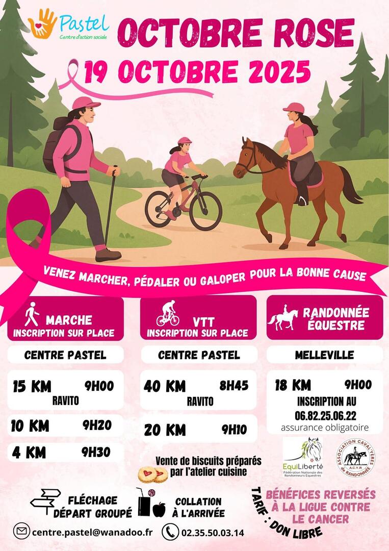 101925 - MESNIL-REAUME - Marche rose