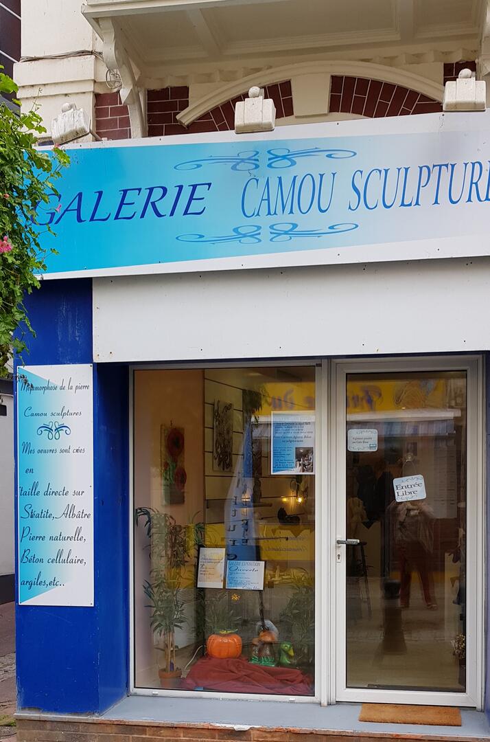 Galerie camousculpture 3 rue du commerce Le Tréport