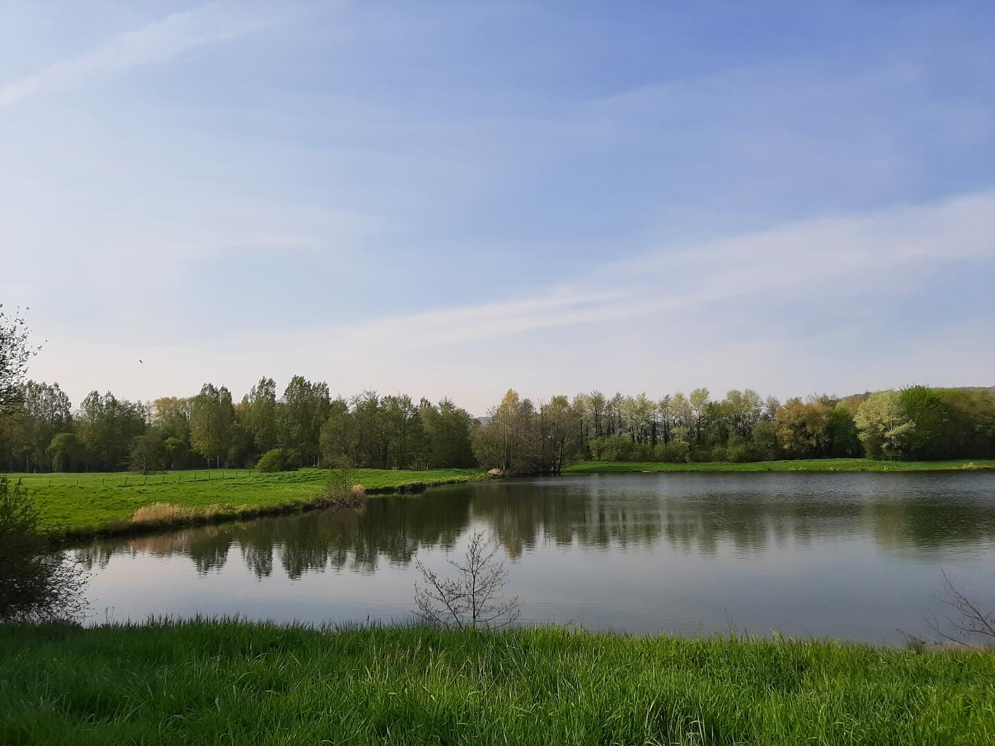 Etangs Saint-Aubin-le-Cauf